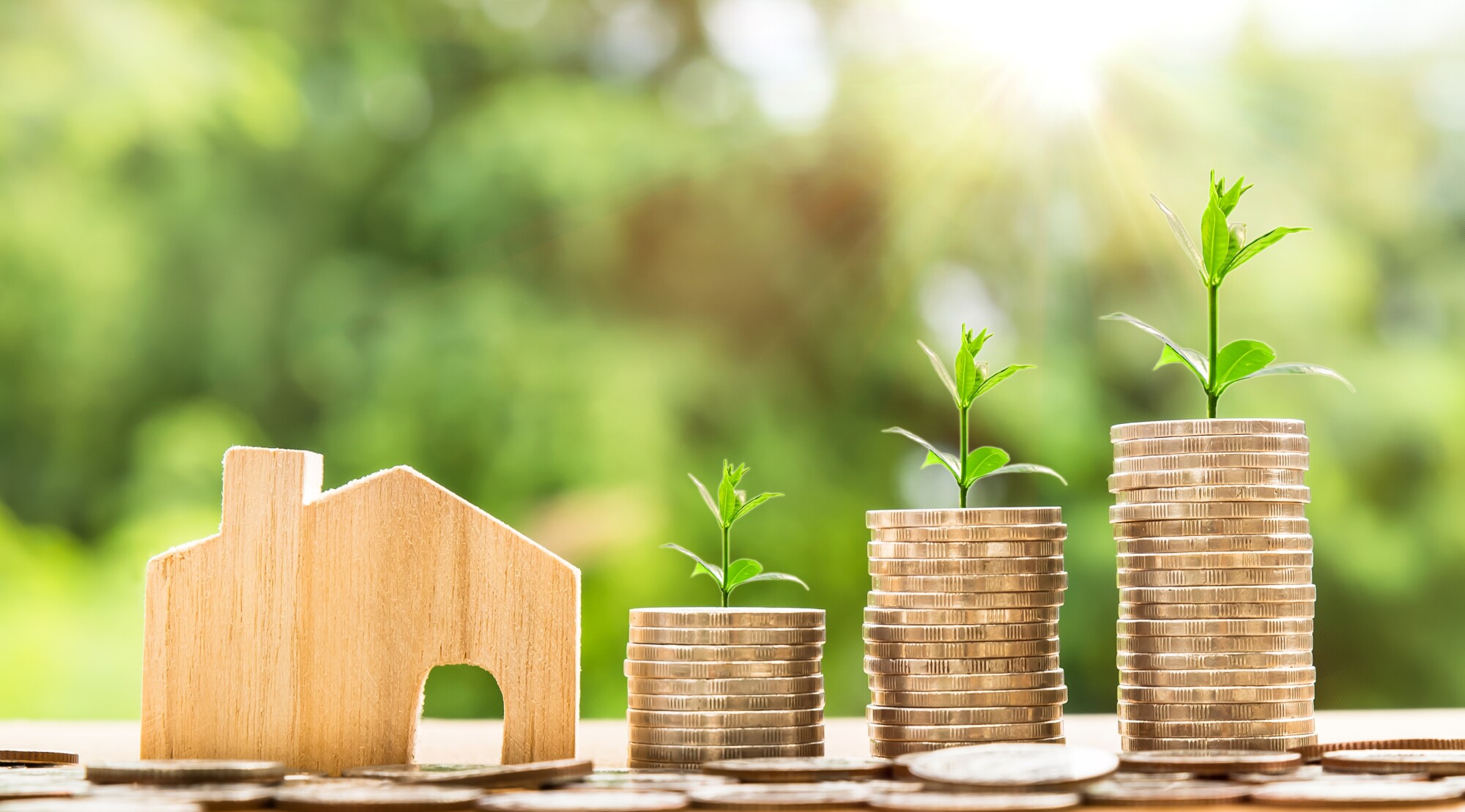 Analysis of Investment Property Mortgage Rates